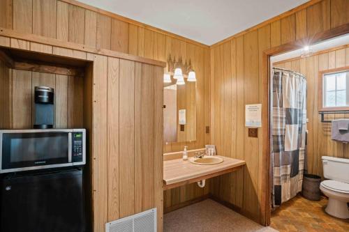 a bathroom with a sink and a microwave at Harmels on the Taylor in Almont