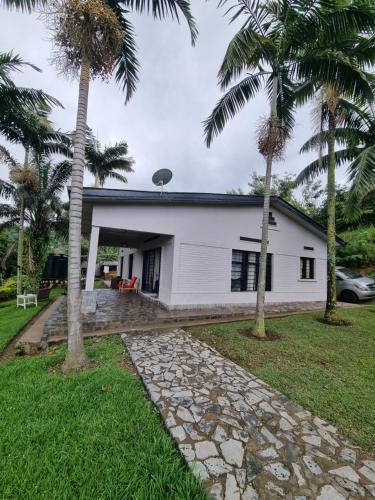 a house with palm trees in front of it at Nyumbani Kivu Retreat in Rubavu