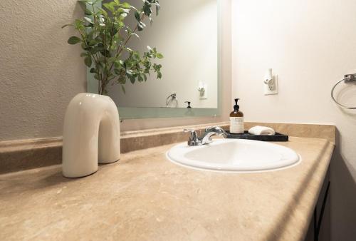 a bathroom with a sink and a vase with a plant at Luxury Apartment Home in Mission