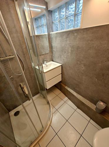 a bathroom with a shower and a sink at Le Cocon du Village Gérardmer in Gérardmer