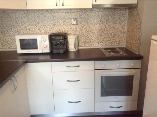 una piccola cucina con forno a microonde e fornello di Apartment Sredetz a Sofia