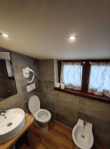 a bathroom with a toilet and a sink at Hotel Genevris Cinq in Sauze dʼOulx