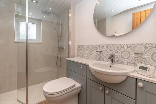 a bathroom with a toilet and a sink and a mirror at Muriau-Bach in Dolbenmaen