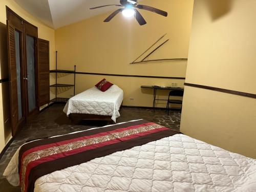 Φωτογραφία από το άλμπουμ του Aranwa Sarapiquí Rainforest Lodge σε Sarapiqui