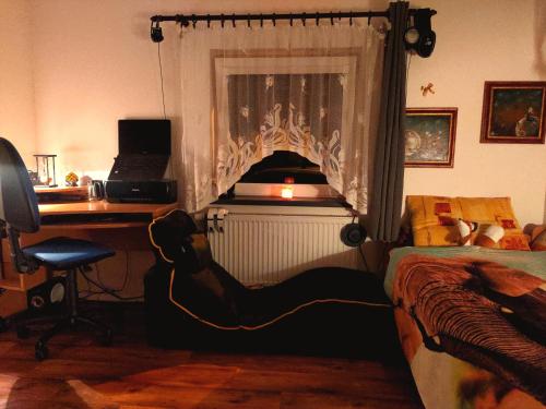 a bedroom with a bed with a desk and a deskablish at Nature Heaven in Carlsbad in Karlovy Vary