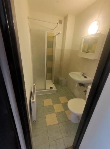 a bathroom with a toilet and a sink at Nature Heaven in Carlsbad in Karlovy Vary