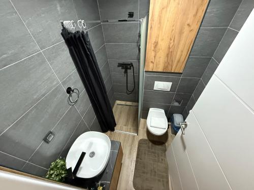 a small bathroom with a sink and a toilet at Alpina Lux in Kopaonik