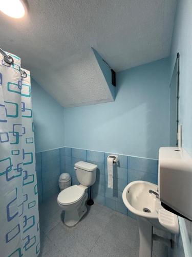 ein blaues Badezimmer mit Toilette und Waschbecken in der Unterkunft Jacquelins house in Baños