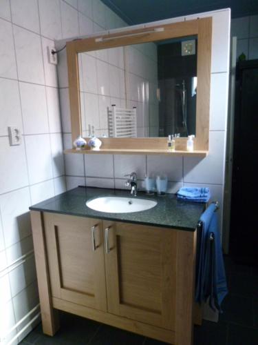 een badkamer met een wastafel en een spiegel bij de Wylgepleats in Jutrijp