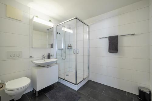 a bathroom with a toilet and a sink and a shower at Swiss Suites - Stusslingen in Lostorf