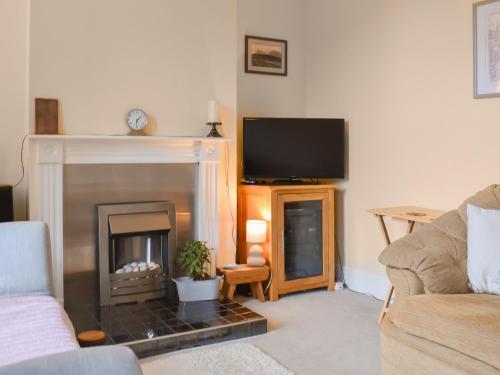 ein Wohnzimmer mit Kamin und Fernseher in der Unterkunft Ratcliffe Cottage in Ipswich