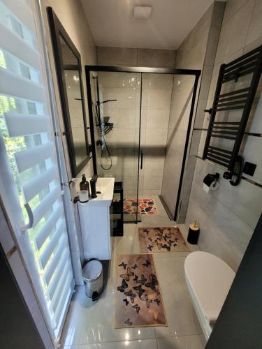 ZagłęboczeにあるDOMKI BEATUS HOME Zagłęboczeのシャワー、トイレ、洗面台を備えたバスルーム