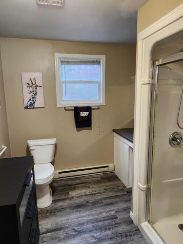 une salle de bain avec toilettes et fenêtre dans l'établissement Roseway River Cottages, à Shelburne
