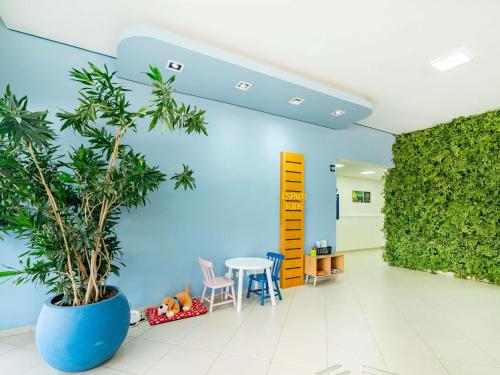 皮拉西卡巴ibis budget Piracicaba的一间办公室，一面蓝色的墙，一张桌子和一盆植物。