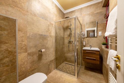 een badkamer met douche, toilet en wastafel bij Villa Rusalka in Vysoké Tatry