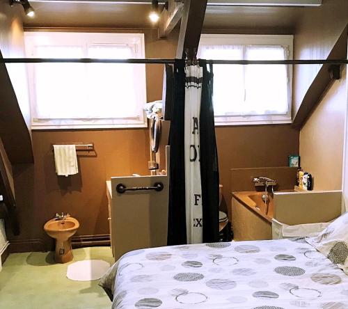 a bedroom with a bed and a bathroom with a shower at Logements Un Coin de Bigorre - T2 de campagne - Canal plus & Netflix - Wifi fibre - Centre village in Tournay