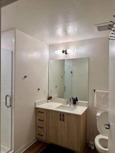フェニックスにある2bd 2bth Highrise in the heart of Roosevelt District!の洗面台、トイレ、鏡のあるバスルーム