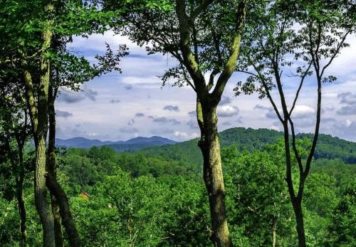 Příroda nedaleko prázdninového domu