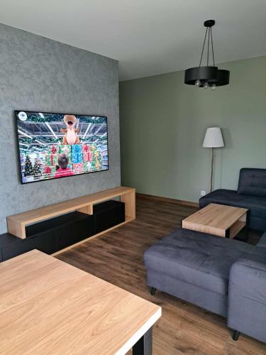 ブスコ・ズドロイにあるApartament Zdrojowyのソファと薄型テレビのあるリビングルーム