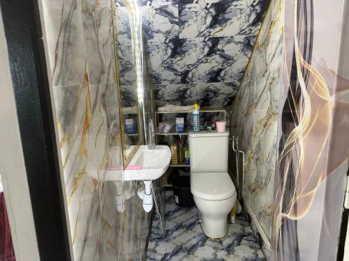 a small bathroom with a toilet and a sink at Appartement dans la Résidence le Chateaux in Fitz-James