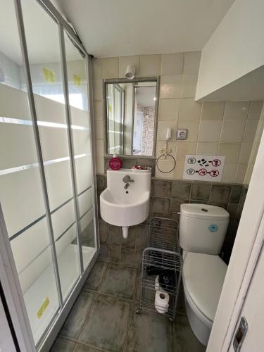 a bathroom with a toilet and a sink at APARTAMENTOS URDAIBAI 5 in Bermeo