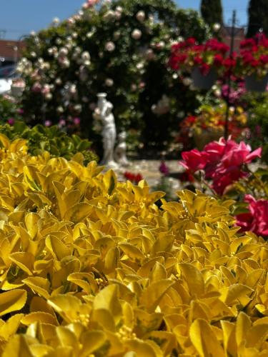 Photo de la galerie de l'établissement Chardonnay Lodge, à Napa
