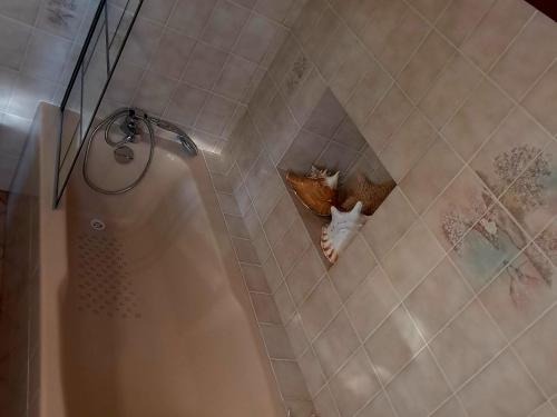 a cat is laying in a niche in a shower at chambre d'hôtes avec petit déjeuner compris à Mégrit in Mégrit