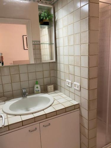 a bathroom with a sink and a mirror at Ganaceto54 in Modena