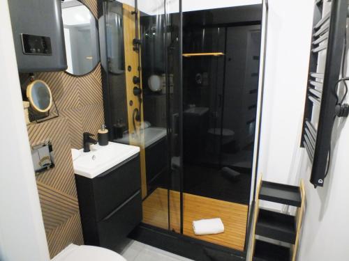 Ένα μπάνιο στο Studio Pieniny Szczawnica