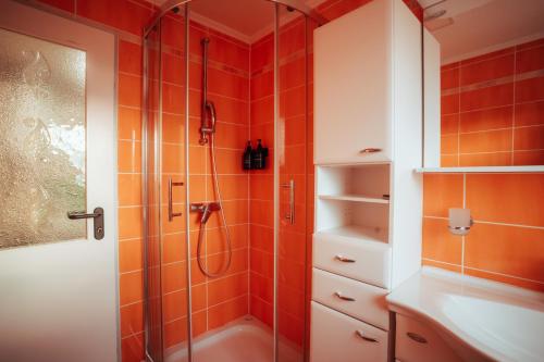 a bathroom with a shower and a sink at SkyView Dežno in Makole