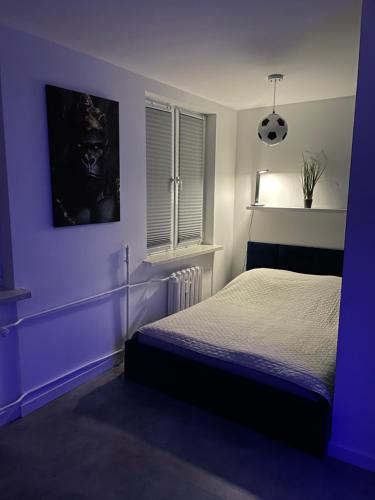 サノクにあるApartament Perfect Relaxの紫色のベッドルーム(ベッド1台、窓付)