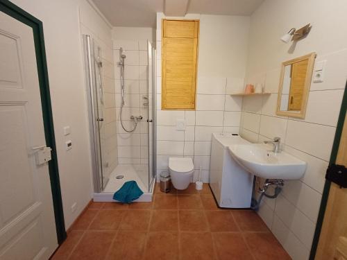 a bathroom with a sink and a shower and a toilet at Oben im Selketal in Harzgerode