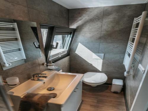 a bathroom with a sink and a toilet and a mirror at Havel River Houseboat in Neuhof