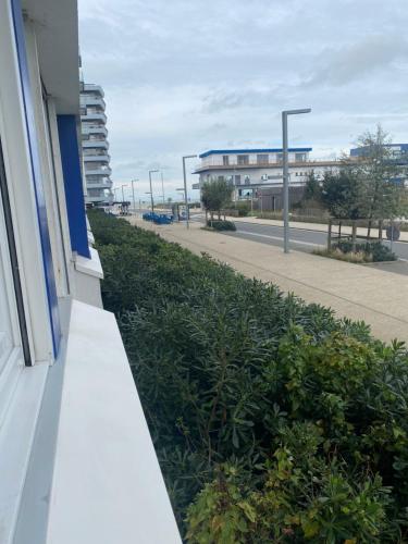 Studio bord de mer