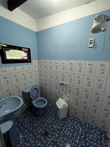 een badkamer met een blauw toilet en een wastafel bij Brisas del Cadillar in Tarija