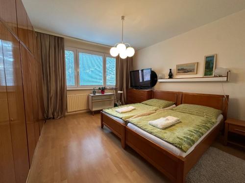 a bedroom with a bed and a flat screen tv at Retro apartment with three rooms in Bratislava