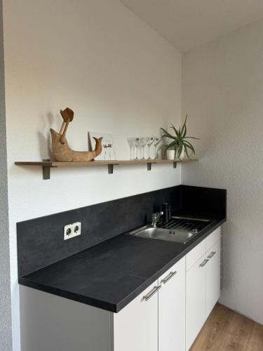 a kitchen with a black counter top and a sink at Anger17-1, Zentrales 2-Zimmer-Apartment in Dessau in Dessau