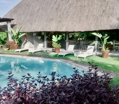 卡萨内The Residence Villa Chobe的享有带椅子和游泳池的度假村景色