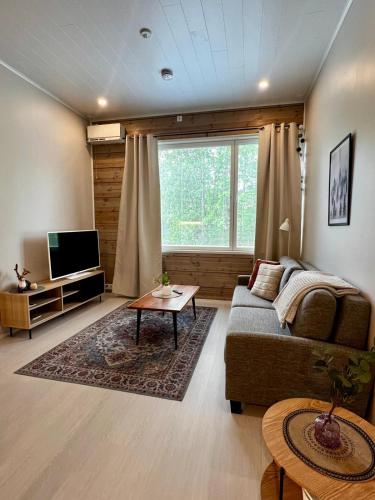 Μια τηλεόραση ή/και κέντρο ψυχαγωγίας στο vaaranhuoneistot