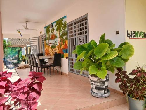 a living room with a vase with plants in it at maison rio la rufisquoise in Saly Portudal