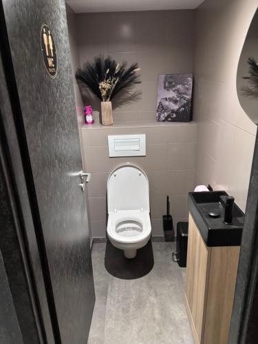 a small bathroom with a toilet and a sink at Aphrodite House in Guebwiller