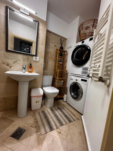 a bathroom with a sink and a washing machine at Newton Flat Apartment in Văleni