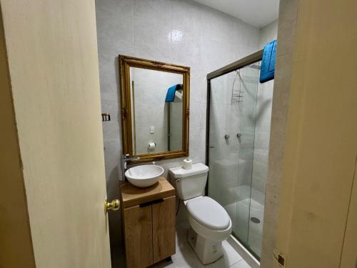 a bathroom with a toilet and a sink and a shower at Mini Suits Limpias y Confortables in Villa de Ojinaga