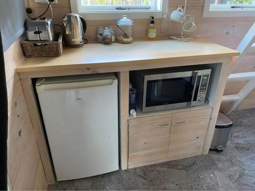 a microwave and a small refrigerator in a kitchen at Evermore Stay in Richmond