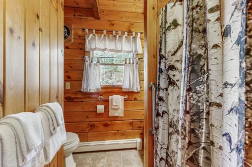 Koupelna v ubytování Birch Grove Cabin