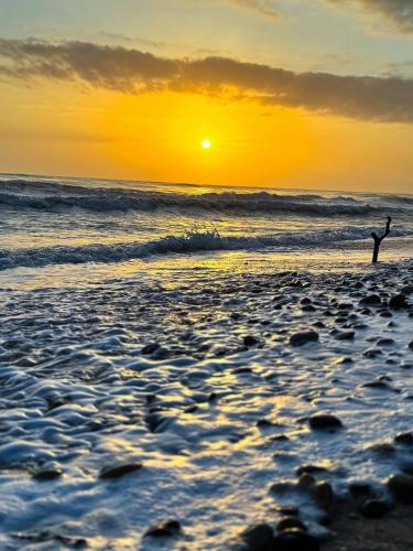 Rincon del Mar Palomino — Beach