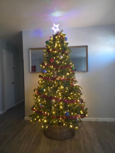 a christmas tree sitting in a living room with at Purple Mountain Majestic Retreat in Colorado Springs