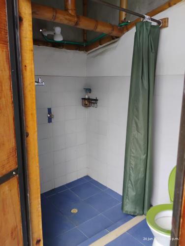 a bathroom with a shower with a blue floor and a toilet at Agüita con Limón Natural Health in Córdoba