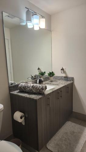 a bathroom with a sink and a mirror at acogedor apartamento en centro in Miami