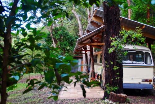 an old van parked next to a tree at Coffee Grounds - The Coach in Coffee Camp